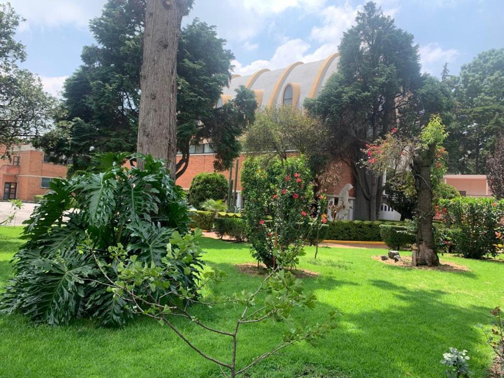 Hotel Express Quinta Soledad Ciudad de México Exteriér fotografie