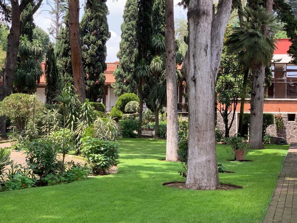 Hotel Express Quinta Soledad Ciudad de México Exteriér fotografie