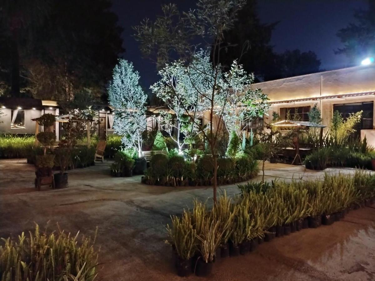 Hotel Express Quinta Soledad Ciudad de México Exteriér fotografie
